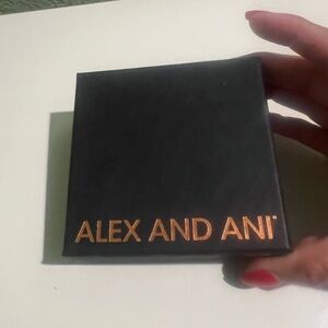 Alex and Ani Periwinkle Friend Box